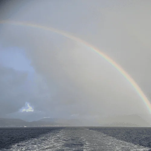 rainbow blog500
